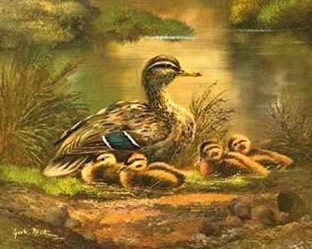 unknow artist Ducks 101 Sweden oil painting art